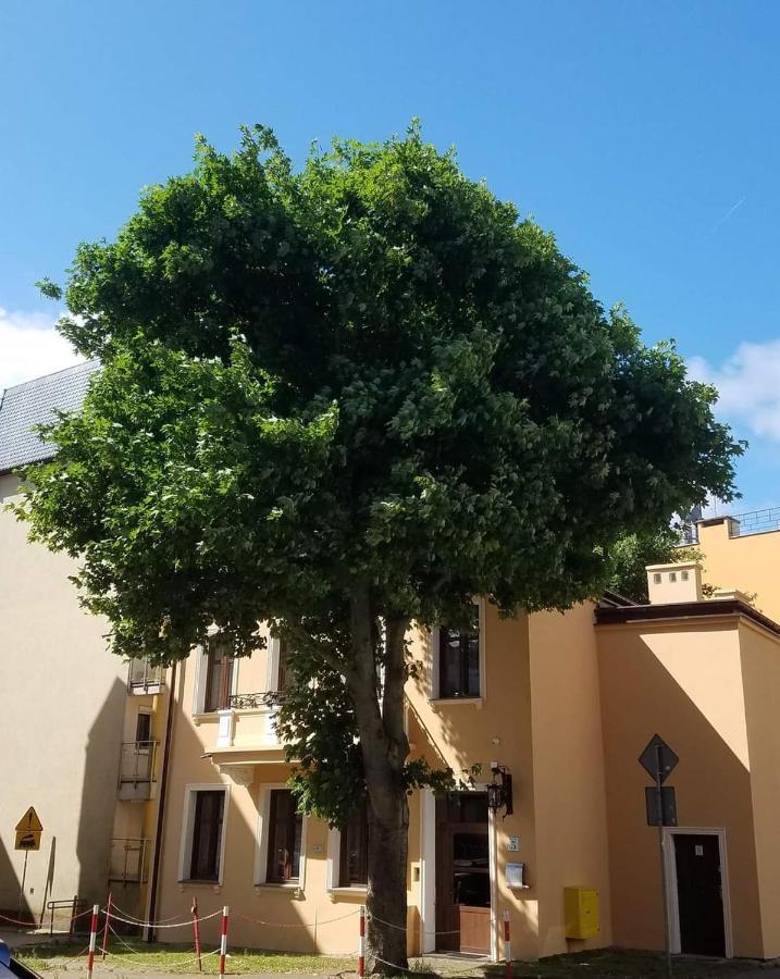 Apartamenty Na Cichej 5 A4 科沃布热格 外观 照片
